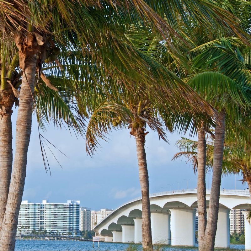 Florida Business Florida Business